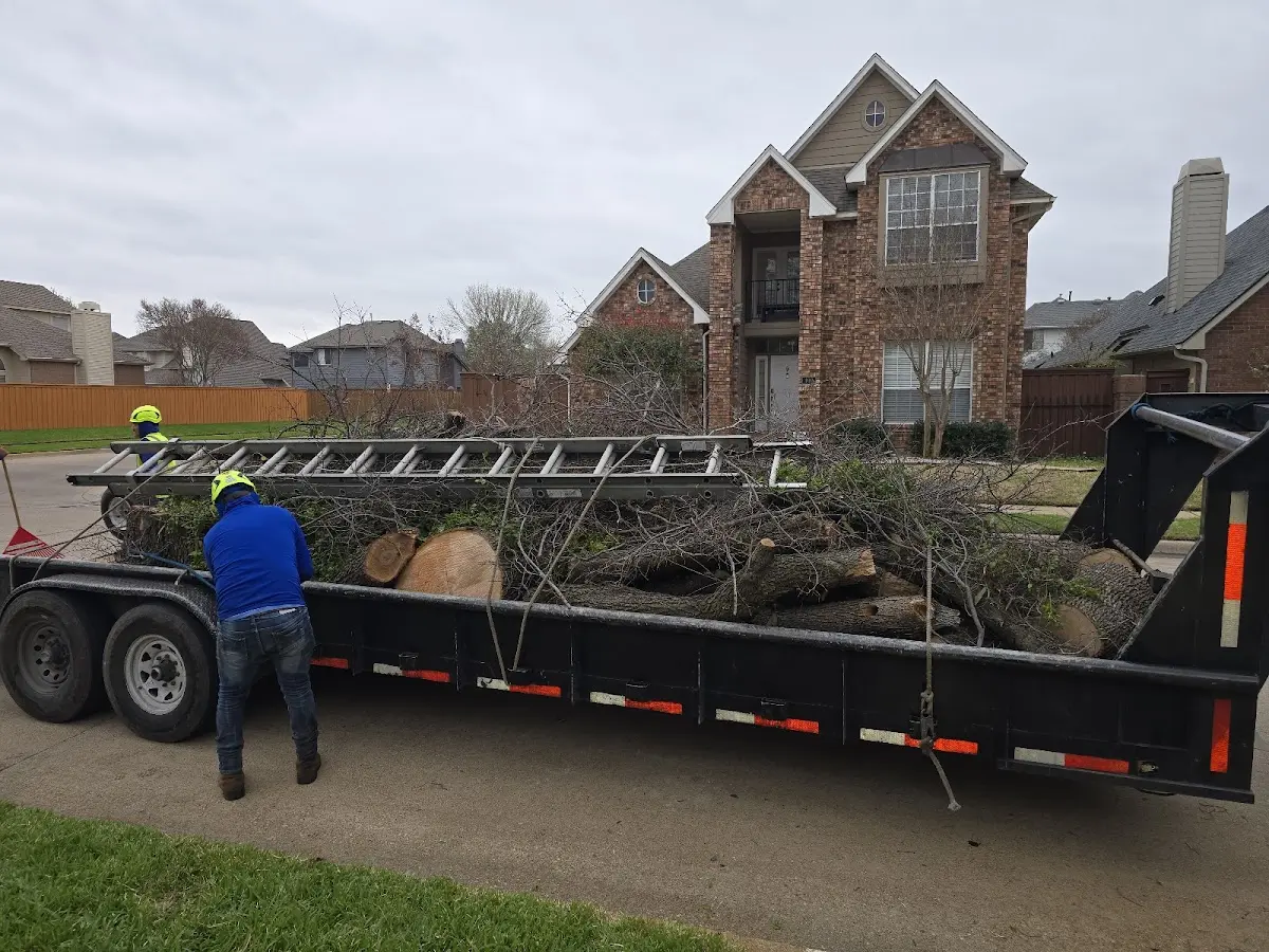 Expert Tree Removal with proper safety equipment in Longville